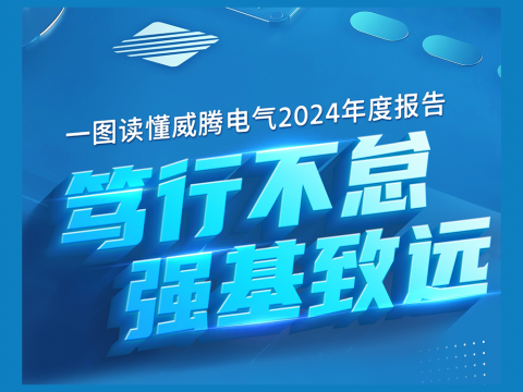 一图读懂九游会J9电气2024年度报告